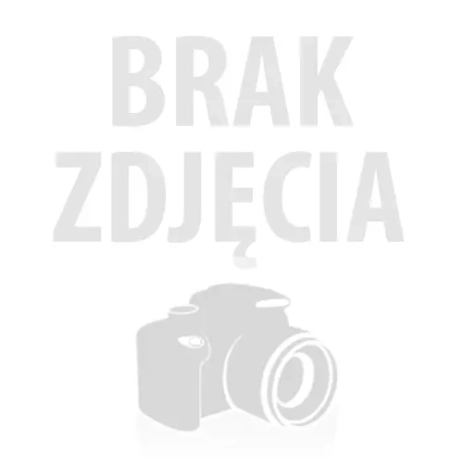 BWE 16-9 14 Wiertnica diamentowa Flex